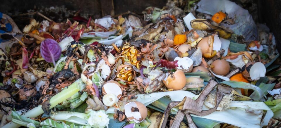 Bin of food scraps for composting.