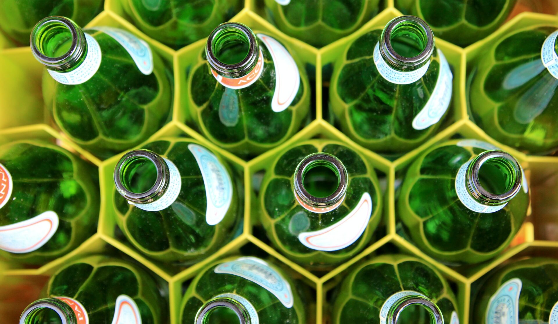 Aerial view of four lines of green glass bottles standing in organized holders.