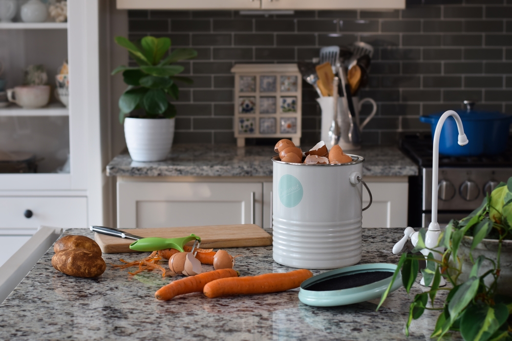 Kitchen counter top compost bin