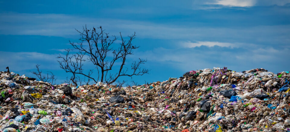 environmental damage of plastic pollution