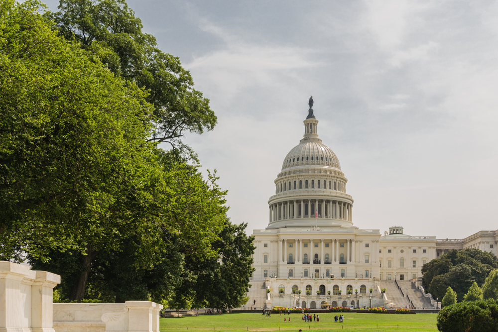 United States Capitol Building in Washington DC USA