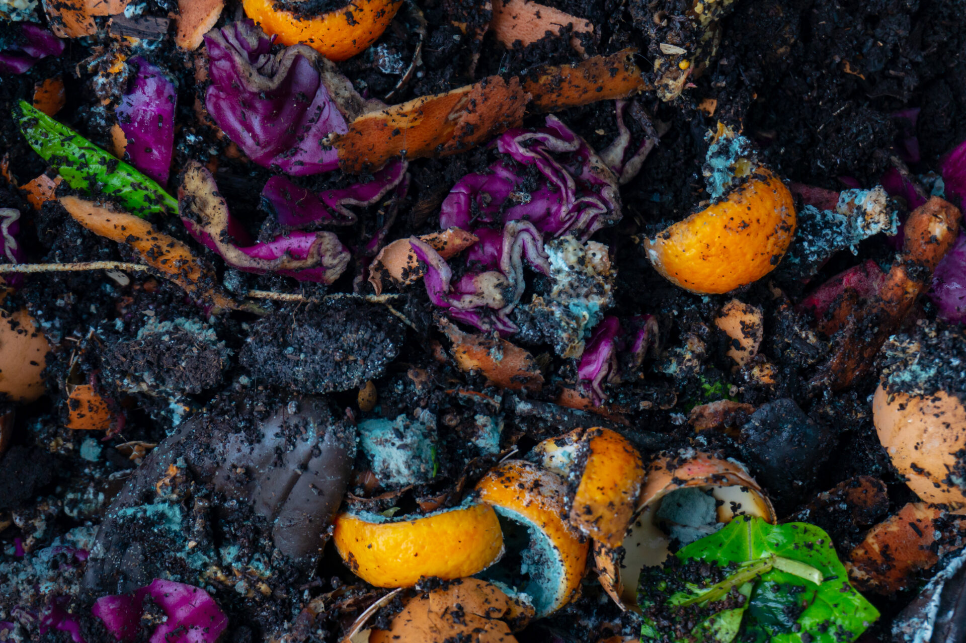 compost with rotting food scraps