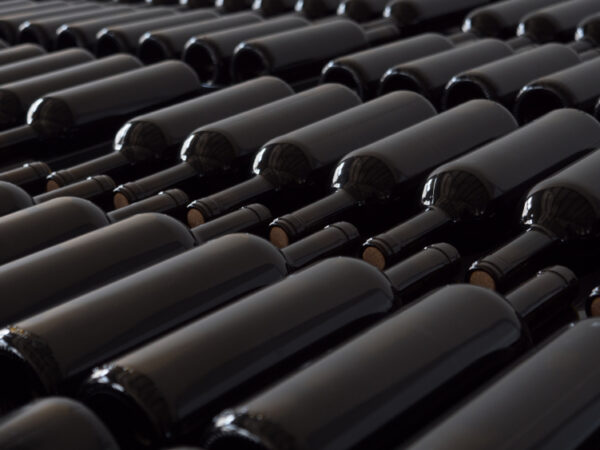 Rows of clean wine bottles without labels