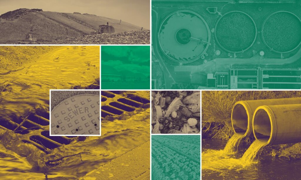 Photo collage of sewage-related wastes in shades of green, yellow, and brown.