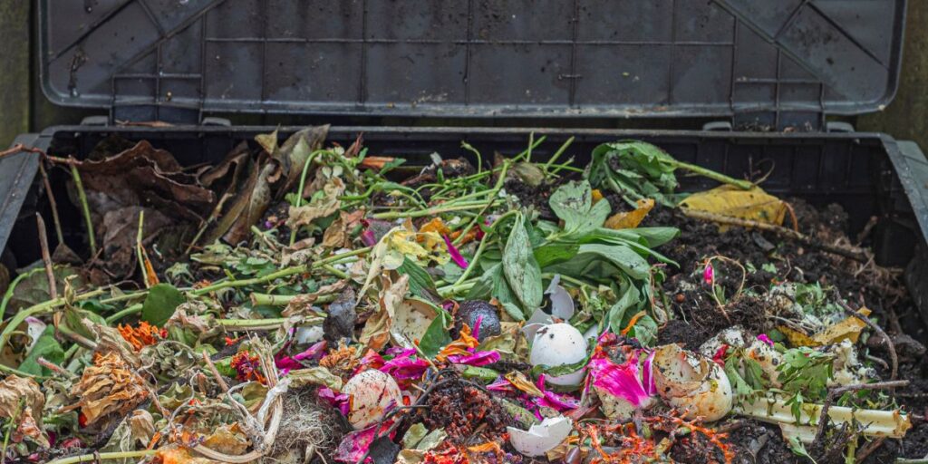 composting bin full of organic material