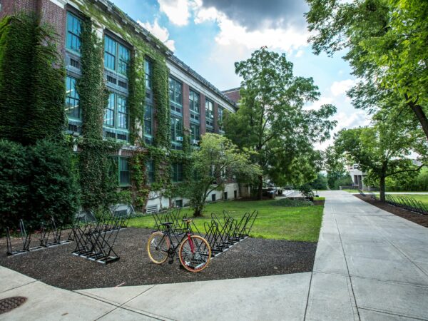 dorm building surrounded by trees