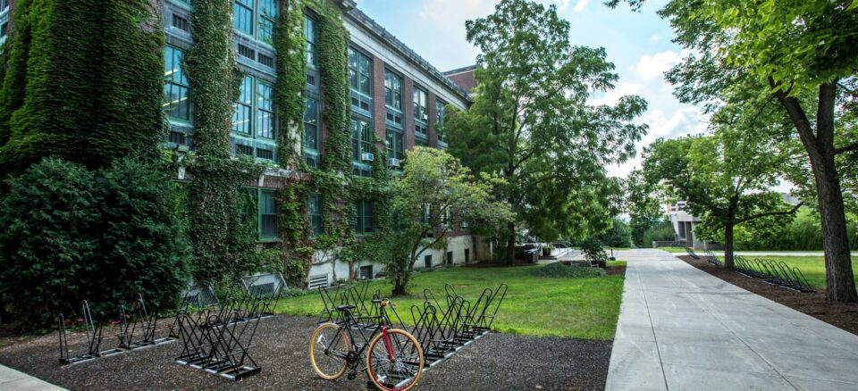 dorm building surrounded by trees