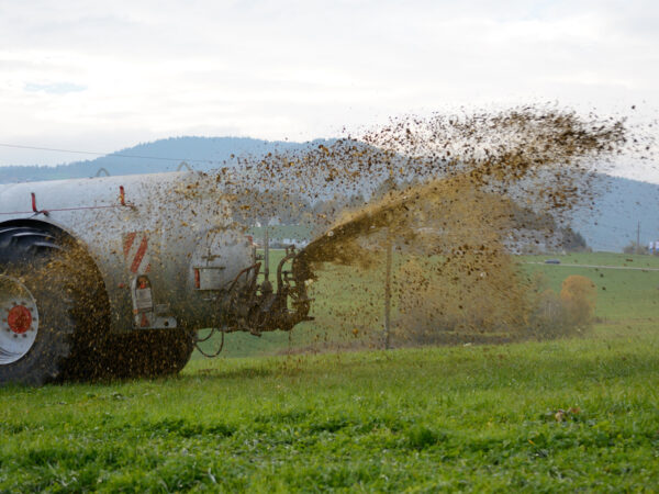Tractor spreading slurry across a green meadow